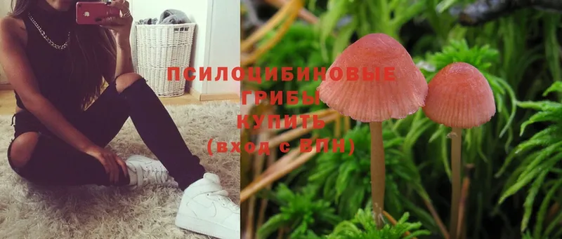 Псилоцибиновые грибы MAGIC MUSHROOMS  Лакинск 